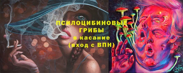 apvp Беломорск