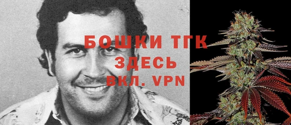 mix Белокуриха
