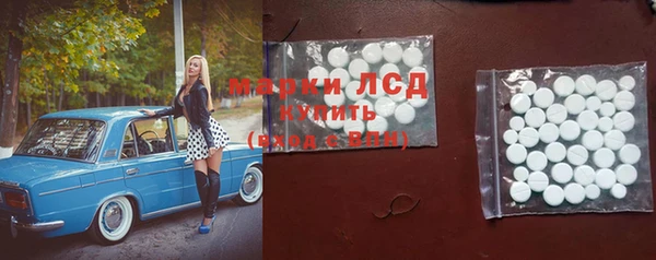 стаф Белоозёрский