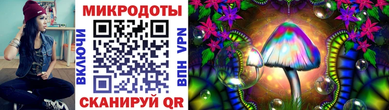 продажа наркотиков  Котовск  hydra как войти  Галлюциногенные грибы MAGIC MUSHROOMS 